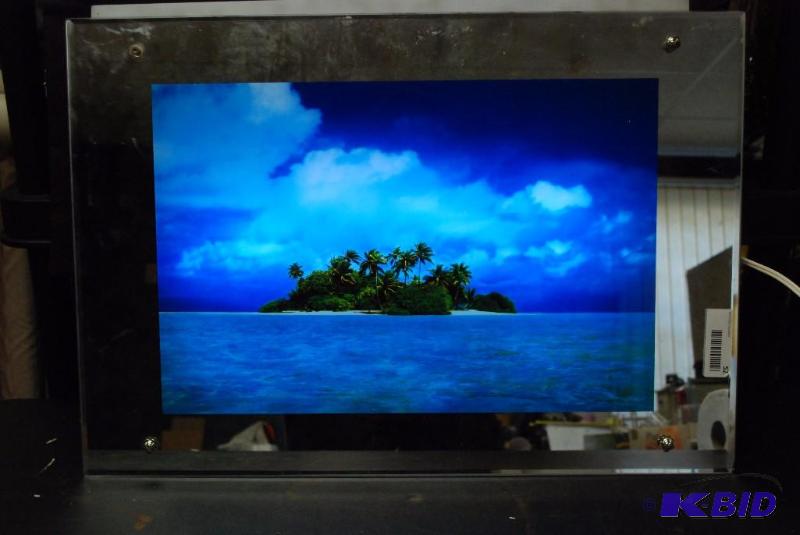 lot 52 image: Nature spirit lighted motion wall art....