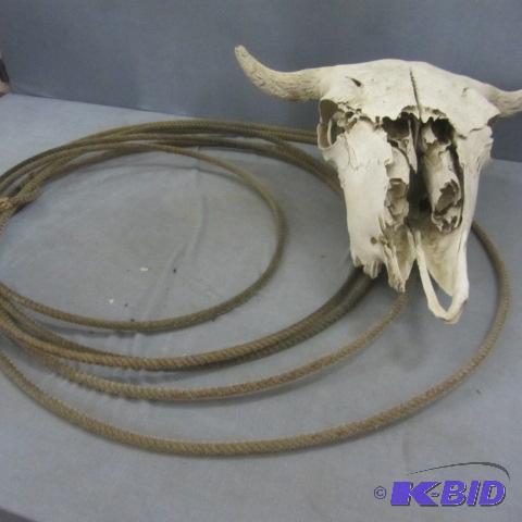 lot 164 image: Lariat, Bovine Skull