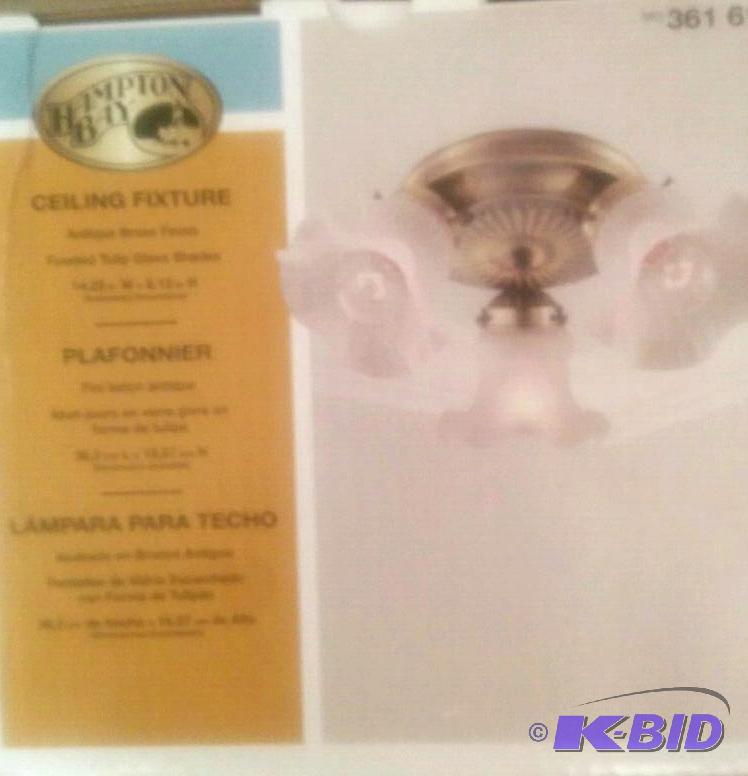 Ceiling light
