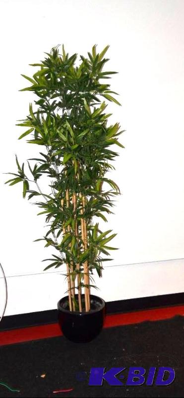 lot 32 image: Tall plant...