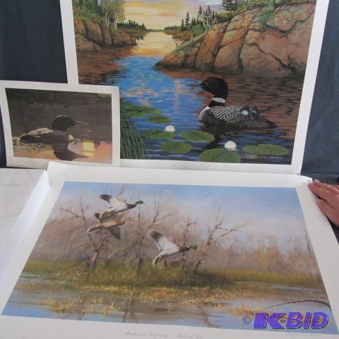 lot 437 image: Mallards & Loon Prints
