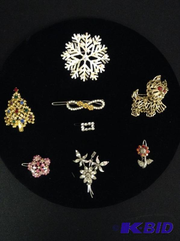 Pins and Hair Clips