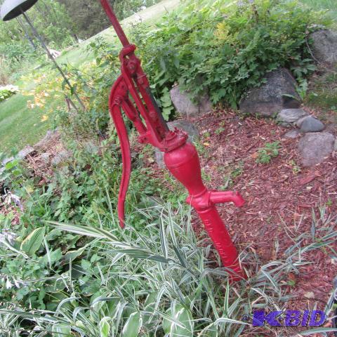 lot 55 image: Red Jacket Water Pump