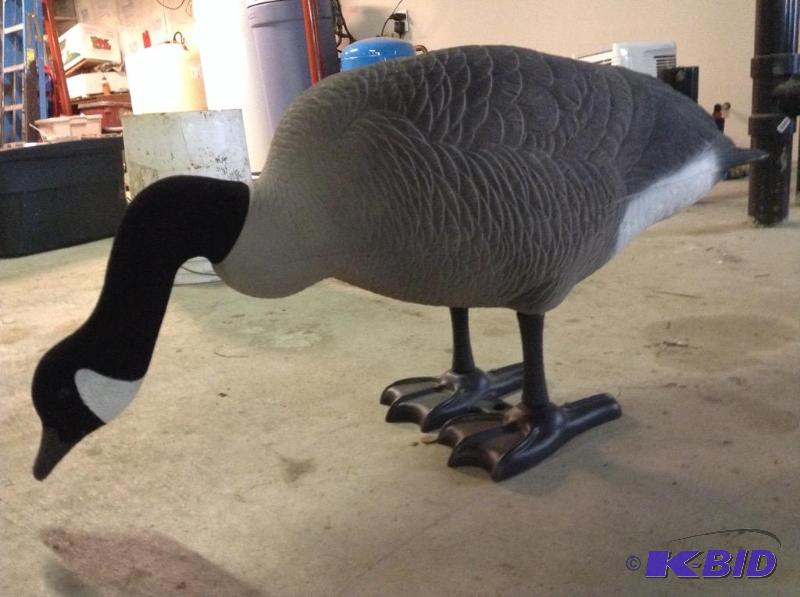 lot 34 image: Lot of Three Life Size Canadian Goose Decoys