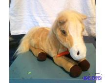 Honey, My Baby Pony