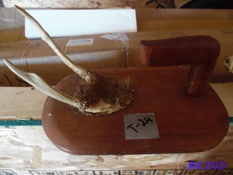 antler mount