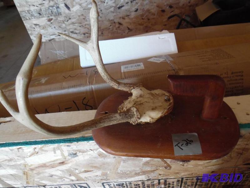 antler mount