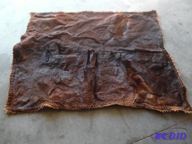 Horse blanket