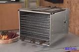 dehydrator