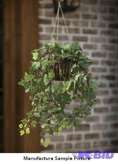 lot 8 image: Lit Hanging Ivy - It doesnt take a green thu...