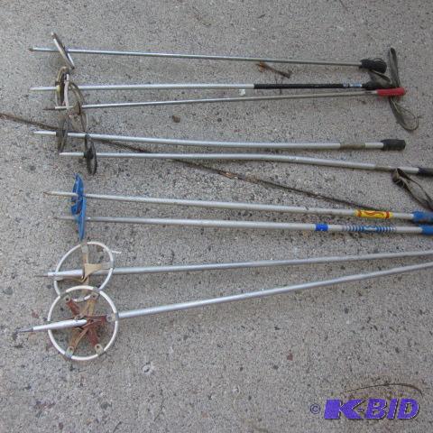 Ski Poles