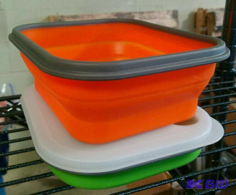 2 Collapsible Lunch Boxes
