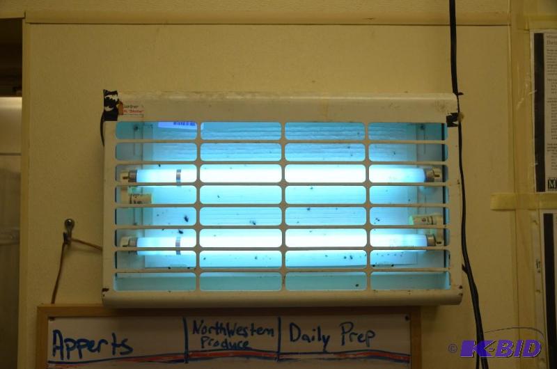 lot 106 image: Fly Light by Gardner Mfg Co. Model GT180 Plea...