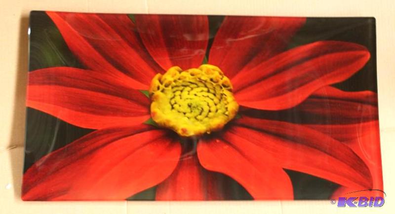 Rectangular Glass Serving Platter