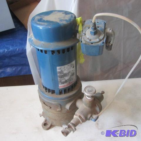 Water Pump