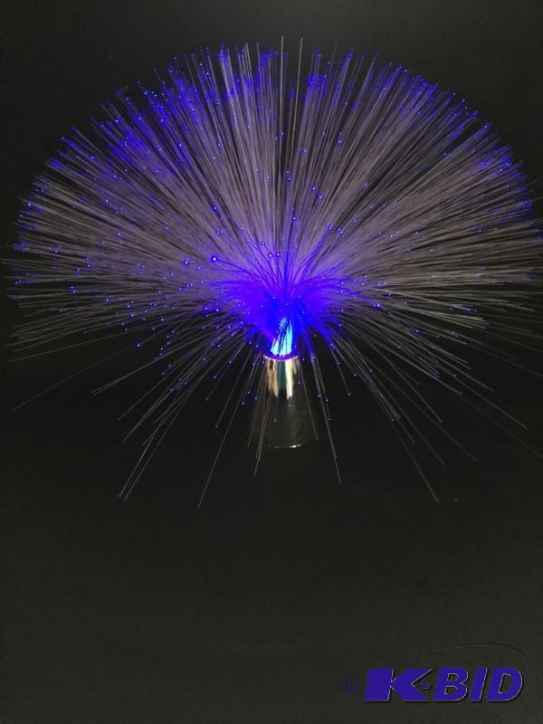 lot 121 image: Fiber Optic Light