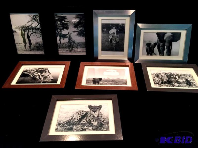 lot 144 image: Lot of 9 Vintage Safari Photographs