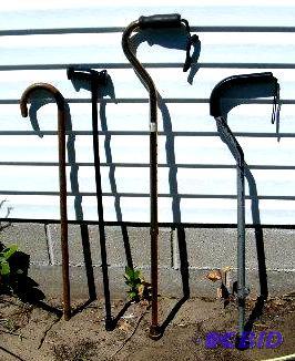 lot 39 image: Lot of Four Canes  ...
