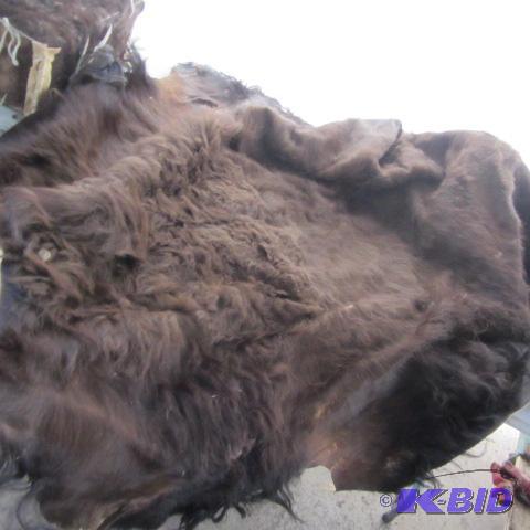 Buffalo Hid