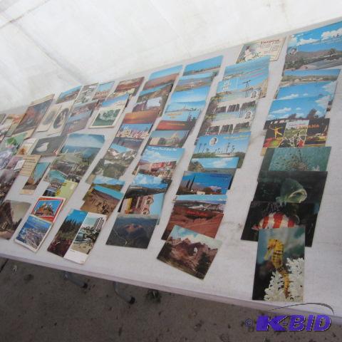Postcards, Travel, Humorous