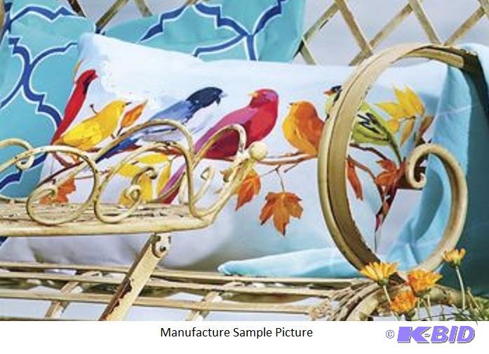 lot 5 image: Outdoor Accent Pillow -&nbspDefinitely not f...