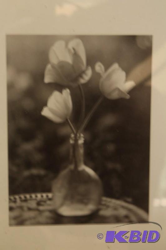 Ornametnal metal picture frames with still life