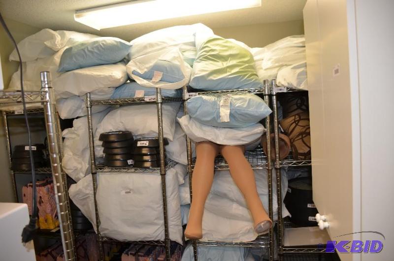 lot 285 image: Super huge lot of air down pillows - more tha...