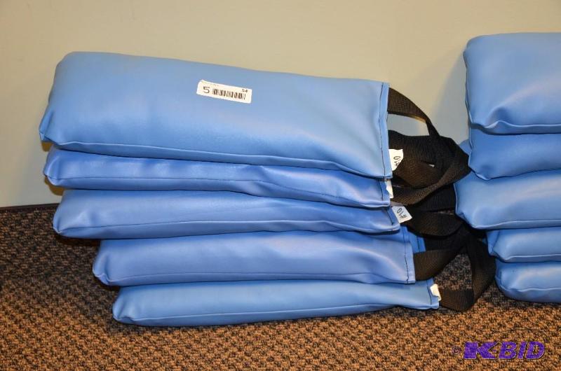 lot 54 image: 5 ten lb. Weighted bags....