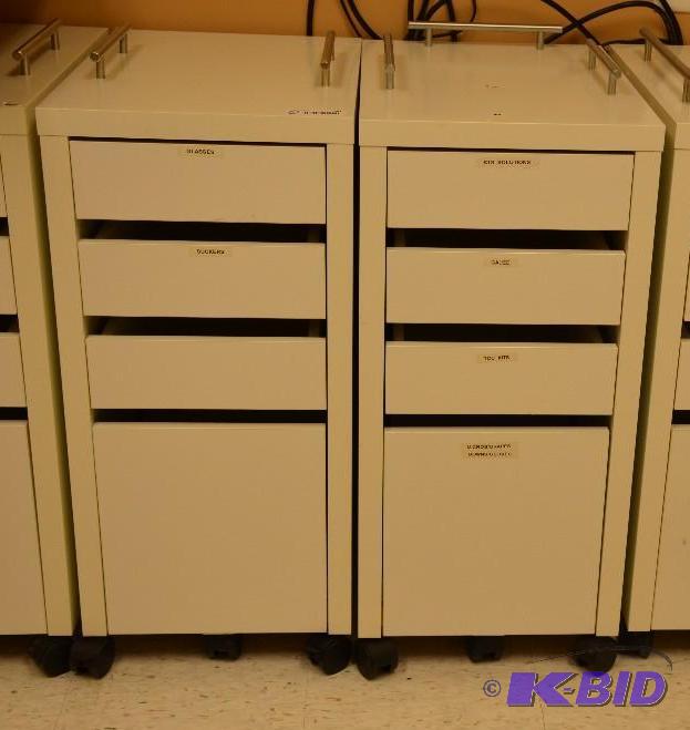 lot 78 image: 2 storage cabinets on wheels 14x20x29 12...