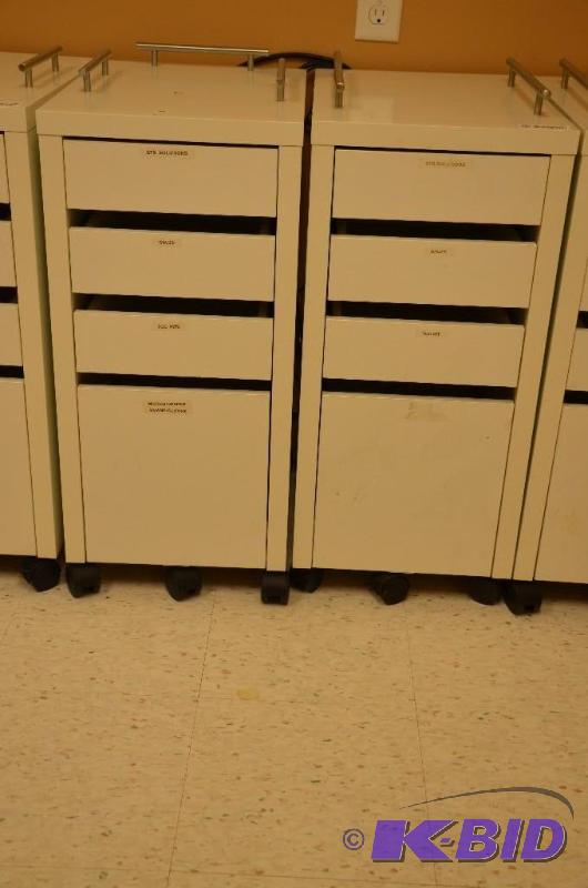 lot 79 image: 2 storage cabinets on wheels 14x20x29 12...