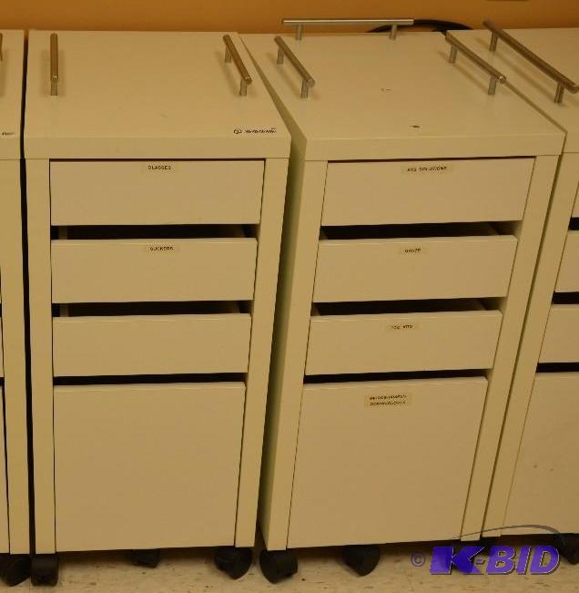 lot 80 image: 2 storage cabinets on wheels 14x20x29 12...