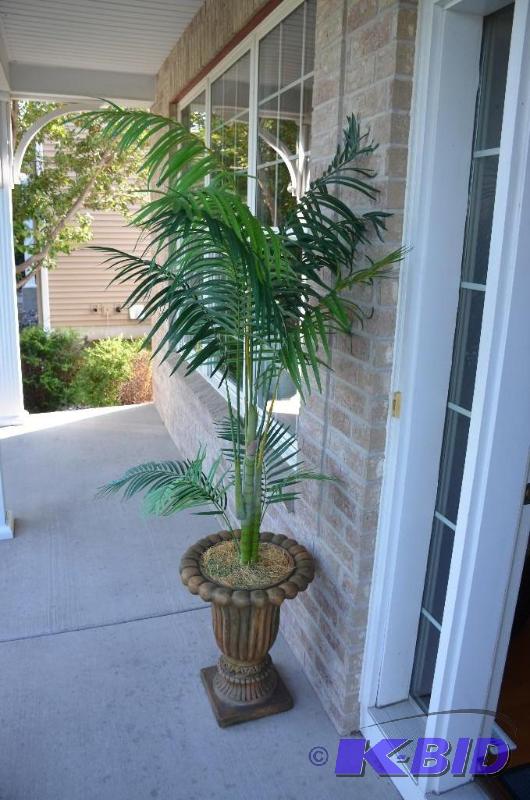 Potted plant approx 76&quot tall...
