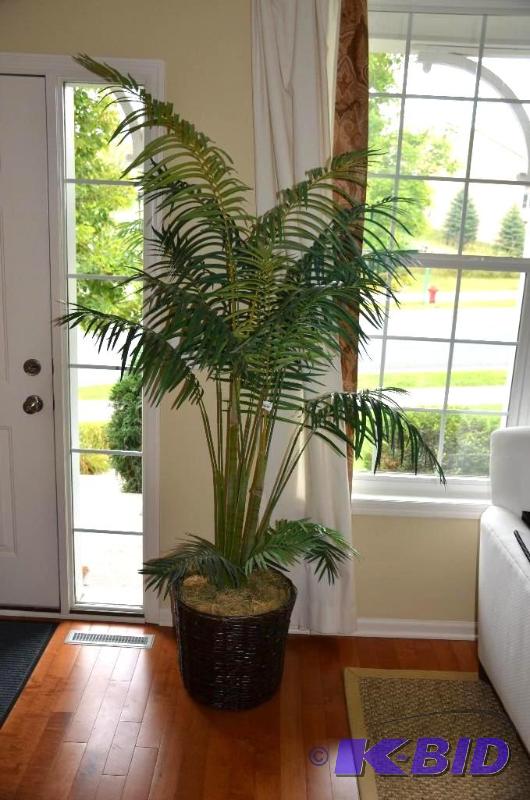 80 inch tall plant, woven basket pot....