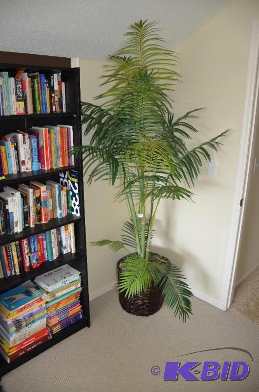 Plant with woven basket pot. Matches the othe...