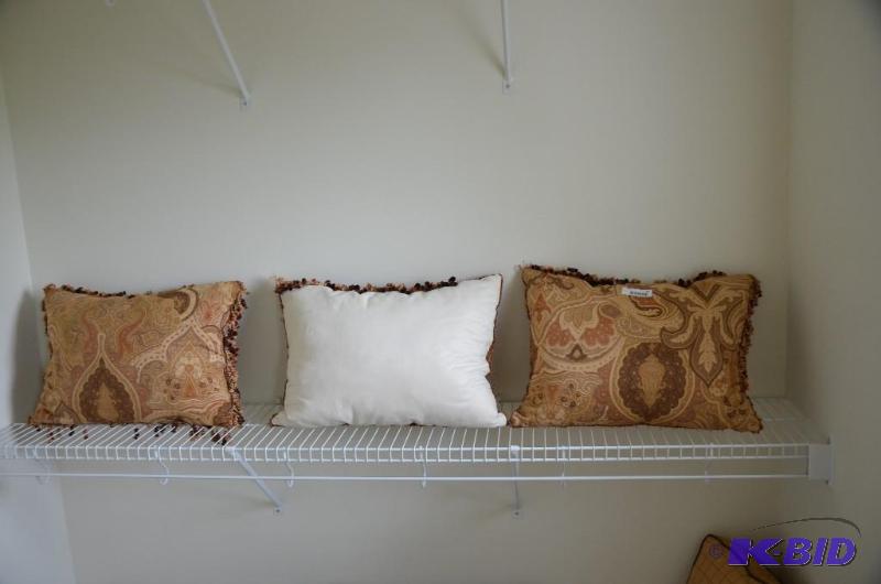 Three accent pillows...
