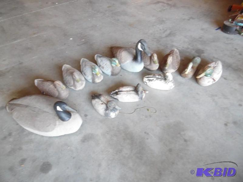 decoys