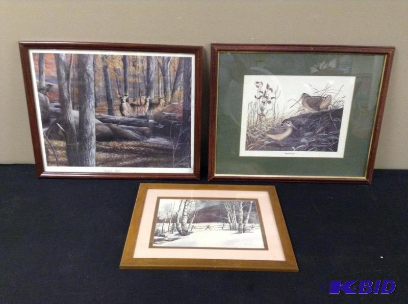 lot 53 image: 3 Framed Wildlife Prints - Daniel