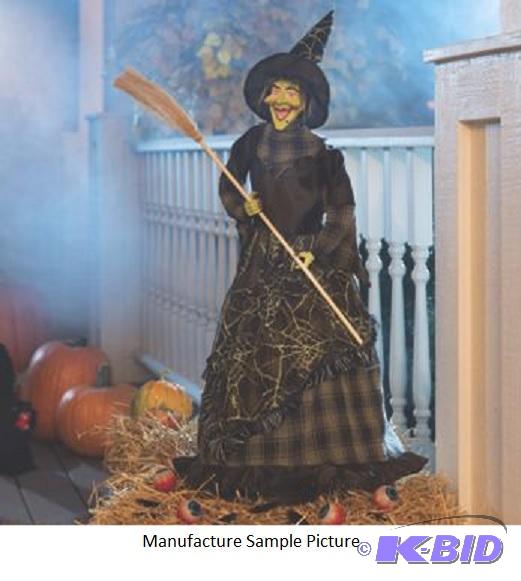 Esmerelda Standing Witch - As if she just rod...