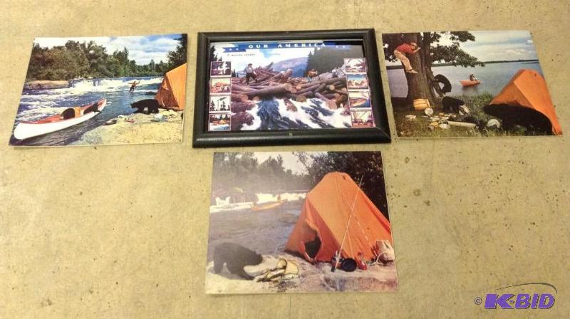 Lot of Wilderness Pictures