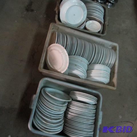 Dinner Plates