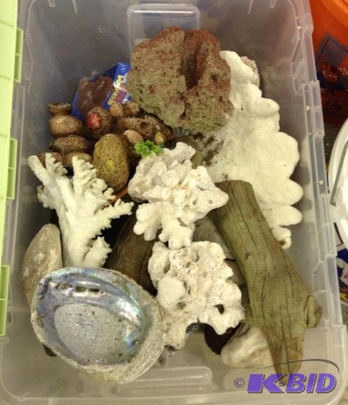 lot 47 image: Storage Bin of Aquarium Supplies