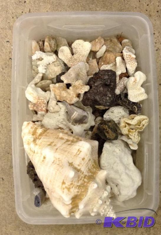 lot 48 image: Small Storage Container of Aquarium Supplies