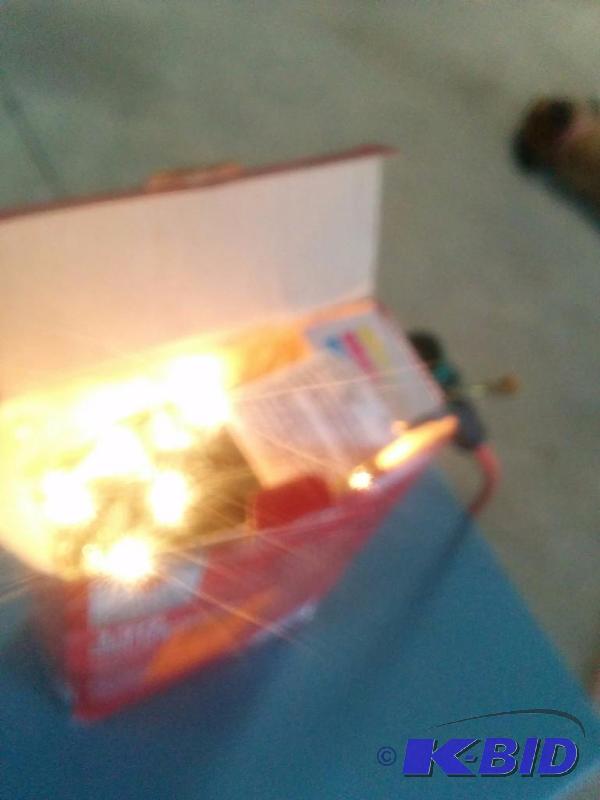 8 Function Mini Lights