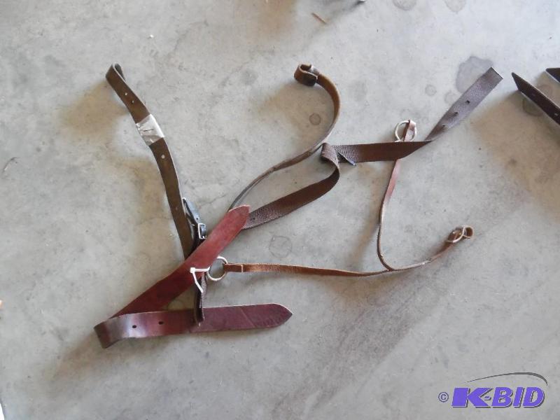 Horse Bridle