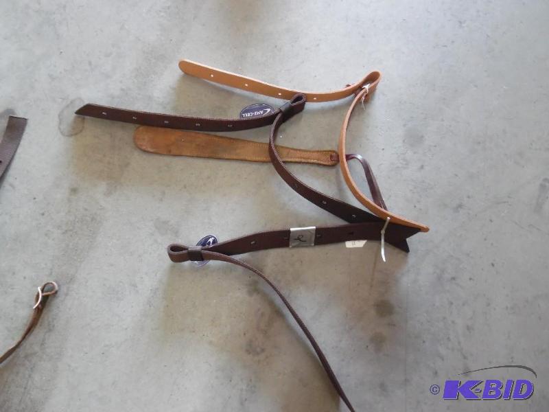 Horse Bridle