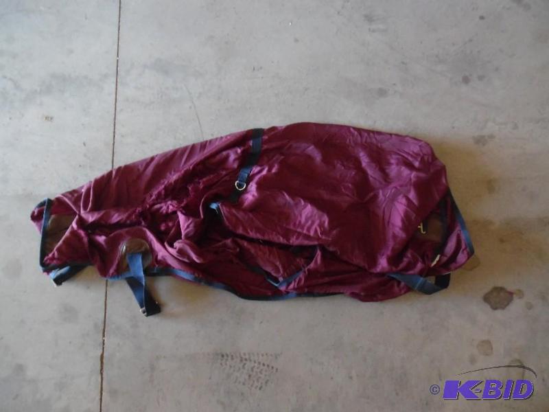 Horse Windbreaker