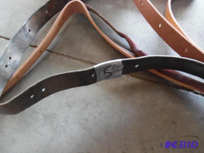 Horse Bridle