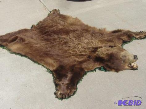 lot 151 image: Alaskan Brown Bear