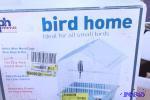 Cat, Bird & Small Animals
