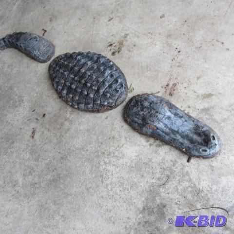lot 31 image: Alligator Garden Accent